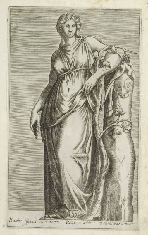 Sculpture of a Bacchante, Bacchae signum marmoreum Romae in aedibus Vallensibus, Ancient sculptures in Rome, Antiquarum statuarum urbis Romae quae in publicis locis visuntur icones, print, album page, Caption in Latin. Print is part of an album., number: '30', printmaker, publisher, Rome, Italy, paper, engraving, height 225 mm x width 135 mm, This print is part of a set of 79 prints (title print) depicting ancient sculptures in Rome., piece of sculpture, reproduction of a piece of sculpture, maenad(s), female bacchant(es), A tall carved figure of a woman in draped clothing stands facing forward, her hair curled and pulled back, one arm hanging by her side holding a small cluster of rounded objects and the other arm resting on a vertical carved support entwined with leafy vines, the support featuring a faint face-like carving; the drapery shows detailed folds and gathers tied at her chest and waist, the lower garment falls to bare feet that stand on a shallow rectangular base, and the b...