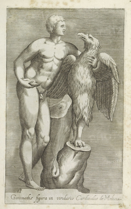 Sculpture of Jupiter as an eagle with Ganymede, Ganimedis figura in viridario Cardinalis de Medicis, Ancient sculptures in Rome, Antiquarum statuarum urbis Romae quae in publicis locis visuntur icones, print, album page, Caption in Latin. Print is part of an album., number: '31', printmaker, publisher, Rome, Italy, paper, engraving, height 225 mm x width 135 mm, This print is part of a set of 79 prints (title print) depicting ancient sculptures in Rome., piece of sculpture, reproduction of a piece of sculpture, (story of) Jupiter (Zeus), (story of) Ganymede, love-affairs of Jupiter, males, A monochrome engraved image shows a nude male figure standing with a muscular torso and short hair, his left arm bent across his body and his right hand resting near his hip; he faces a large bird perched on a raised stump, which has textured feathers, outstretched wings, and a curved beak. The man and bird are set against a lined background within a rectangular frame, and the stump shows wood grain ...