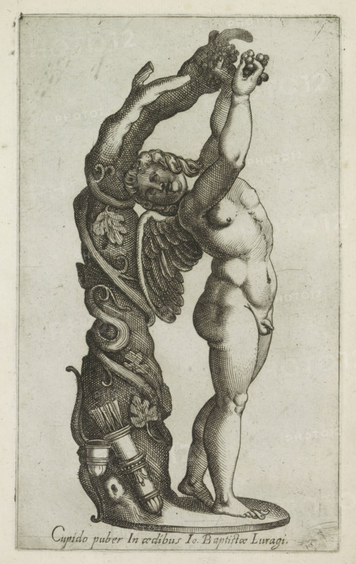 Cupid adolescent in aedibus Io Baptistae Lugari, Sculpture of Cupid picking grapes, Ancient sculptures in Rome, Antiquarum statuarum urbis Romae quae in publicis locis visuntur icones, print, album page, Caption in Latin. Print is part of an album., number: '40', printmaker, publisher, Rome, Italy, paper, engraving, height 224 mm x width 135 mm, This print is part of a set of 79 prints (title print) depicting ancient sculptures in Rome., piece of sculpture, reproduction of a piece of sculpture, (story of) Cupid, Amor (Eros), A vertical etching shows a classical nude figure standing on an oval base with arms raised and hands holding a small cluster of rounded objects; the figure has curly hair, a youthful face turned slightly, and a single wing attached to the back; to the left of the figure is an ornate vertical decorative element with curling acanthus-like foliage, carved leaves, and a cylindrical object with bands near its lower part; shading is rendered with fine parallel and cross ...