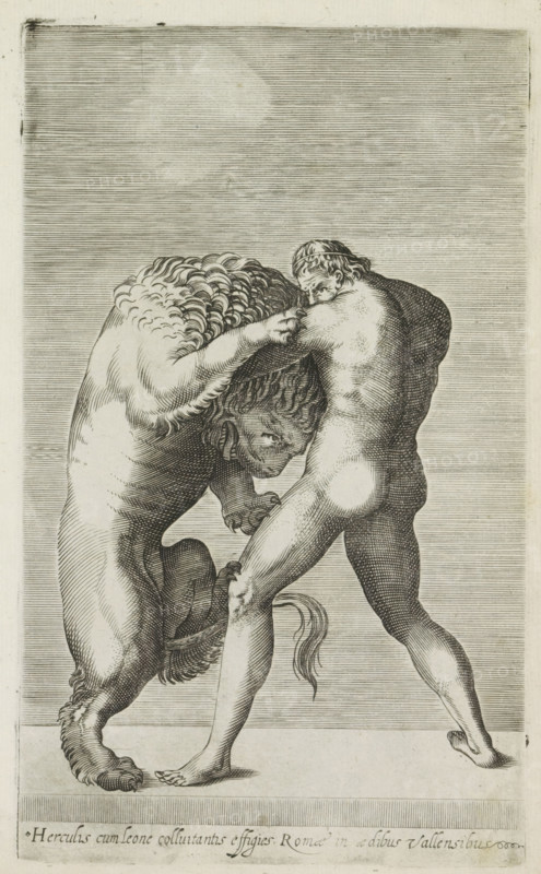 Sculpture of Hercules fighting the Nemean lion, Herculis cum leone colluitantis effigies Romae in aedibus Vallensibus, Ancient sculptures in Rome, Antiquarum statuarum urbis Romae quae in publicis locis visuntur icones, print, album page, Caption in Latin. Print is part of an album., number: '41', printmaker, publisher, Rome, Italy, paper, engraving, height 224 mm x width 135 mm, This print is part of a set of 79 prints (title print) depicting ancient sculptures in Rome., piece of sculpture, reproduction of a piece of sculpture, (1) Hercules chokes the Nemean lion with his arms, A detailed black and white engraving shows a muscular nude man wrestling with a large lion. The man is turned away from the viewer with his back, buttocks, and legs prominently visible, one foot planted on the ground and the other slightly raised on tiptoe. He grips the lion near its mane with both hands while the lion rears up on its hind legs, its front paws bent and claws visible. The lion’s head is close to...