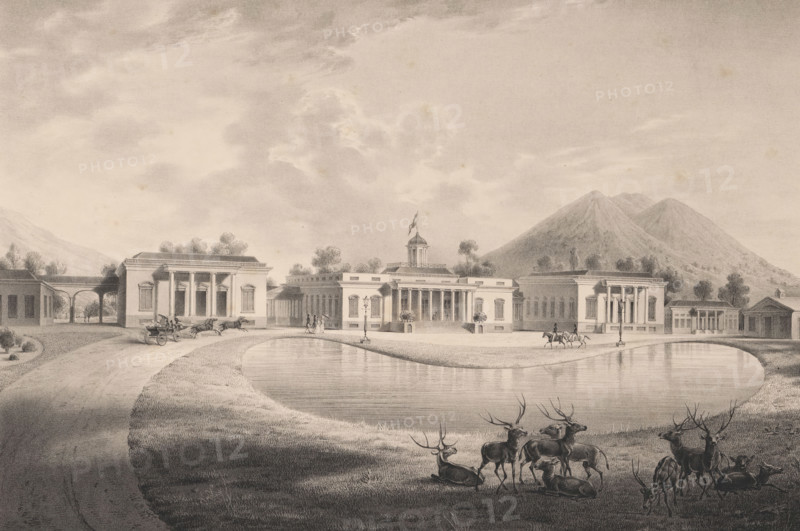 View of the palace at Buitenzorg, Vue du palais de Buitenzorg. Ile de Java, Vues de Java, print, album page, The palace in the Botanical Garden at Buitenzorg (West Java) with a group of deer in the foreground. Print is part of an album containing a series of six lithographs of views of Java and a title print., printmaker: Willem Jan Gordon, after design by Reijgers, printer (person): Hilmar Johannes Backer, Dordrecht, publisher: Buffa en Zonen, Frans, Amsterdam, publisher: Goupil, Vibert & Cie., Paris, publisher: Ackermann & Co., London, commissioner (person who orders works): Jan Jacob van Braam, 1842, printer (person), commissioner (person who orders works), paper, lithography, height 695 mm x width 501 mm, Print is part of a series of six., rural housing, eg country-house, villa, cottage, Java, Buitenzorg (West Java), West Java, A wide vista shows a classical building complex with columns and a central structure topped by a small dome and flag, set behind a curved reflective pond. I...