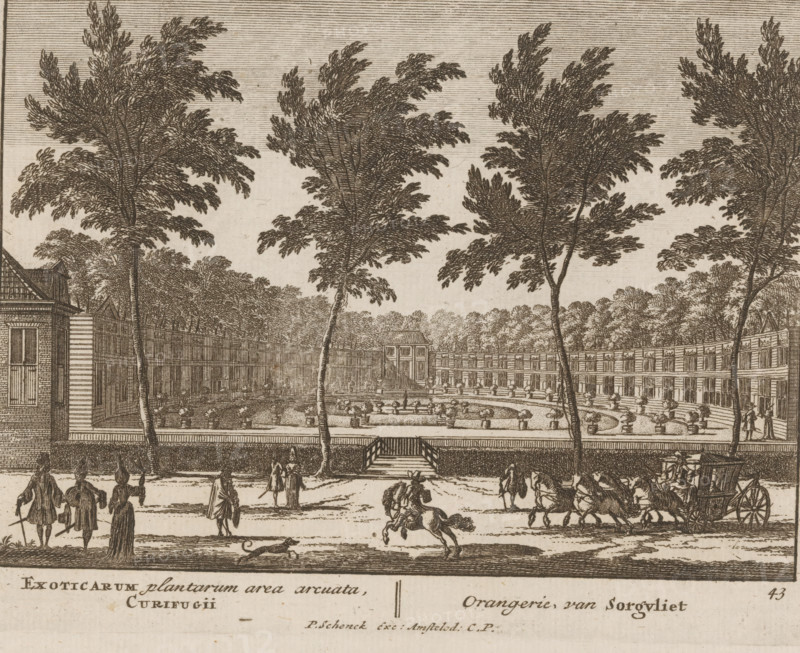 Orangery at Sorghvliet Park in The Hague, Orangery, of Sorgvliet, Exoticarum plantarum area arcuata, Curieugii, Admirandorum Quadruplex Spectaculum, Fourfold spectacle of wonders, print, Series number, 43, 71, printmaker: Jan van Call (I), Amsterdam, publisher: Pieter Schenk (I), grantor of privilege: States of Holland and West Friesland, c. 1700, paper, etching, height 129 mm x width 168 mm, Other state also used in: Call, 1700. The title page, dedication, and portrait of Frederick of Saxony were engraved by Pieter Schenk (I). The other prints in this series are, as indicated on the title page, by Jan van Call (I)., French or architectonic garden, formal garden, The Hague, An etching showing a formal garden surrounded by a curved building with many windows and a low wall, a central circular fountain area with potted plants and small statues, tall slender trees with detailed foliage framing the scene, a stairway leading from the garden up to the building, people in period clothing stan...