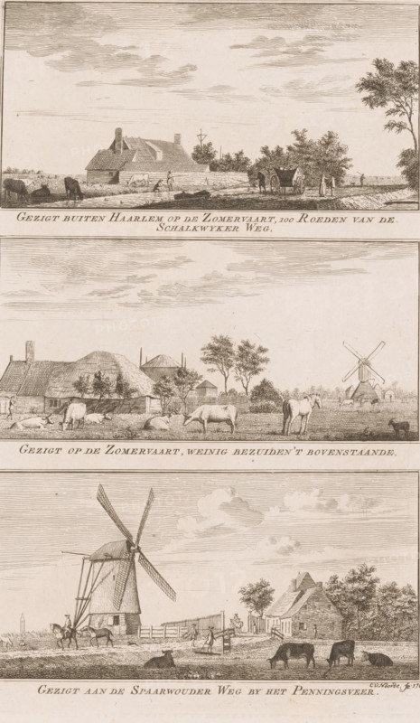 View outside Haarlem of the Zomervaart, 100 Rods from the Schalkwykerweg, View of the Zomervaart, slightly south of the above, View on the Spaarnwouder Weg by the Penningsveer, Views of the Zomervaart and the Penningsveer near Haarlem, Views in the delightful landscapes of Haarlem, print, printmaker: Cornelis van Noorde, Haarlem, publisher: Jan Bosch (publisher), 1763, paper, etching, height 296 mm x width 185 mm, A vertical print divided into three horizontal scenes, each showing rural landscapes with buildings, trees, animals, and people. The top scene depicts a long low building with a tiled roof beside open ground, a few grazing animals nearby, a small boat on the shore, a covered cart with figures standing beside it, and a line of trees at the right under a sky with thin horizontal clouds. The middle scene shows thatched houses and farm outbuildings behind a fenced yard, grazing and reclining cows and a horse in the foreground, scattered trees, and a windmill visible in the distan...