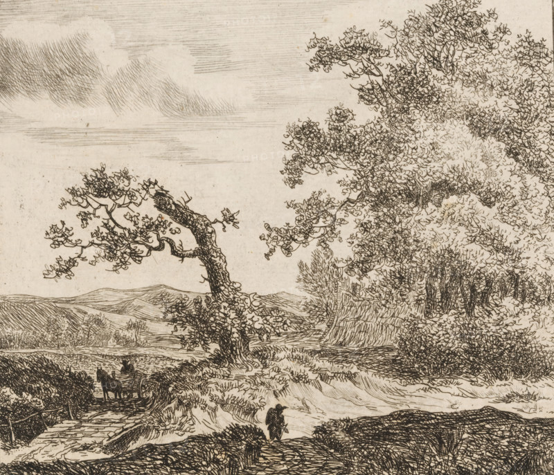 Walker in the dunes outside Haarlem, print, printmaker: Anthonie van den Bos, 1778 - 1838, paper, etching, height 149 mm x width 169 mm, dunes (sea not visible), in the dunes, Kennemerland, A monochrome etched landscape showing winding paths and rolling hills with detailed linework, prominent trees with twisting trunks and dense, textured foliage on the right and center, a gnarled branch extending toward the left, a distant horizon with layered hills beneath a sky marked by fine horizontal strokes, a small figure walking along a path in the middle ground, and a cart pulled by an animal near a bridge or causeway on the left, all rendered with intricate crosshatching and delicate pen-like lines.