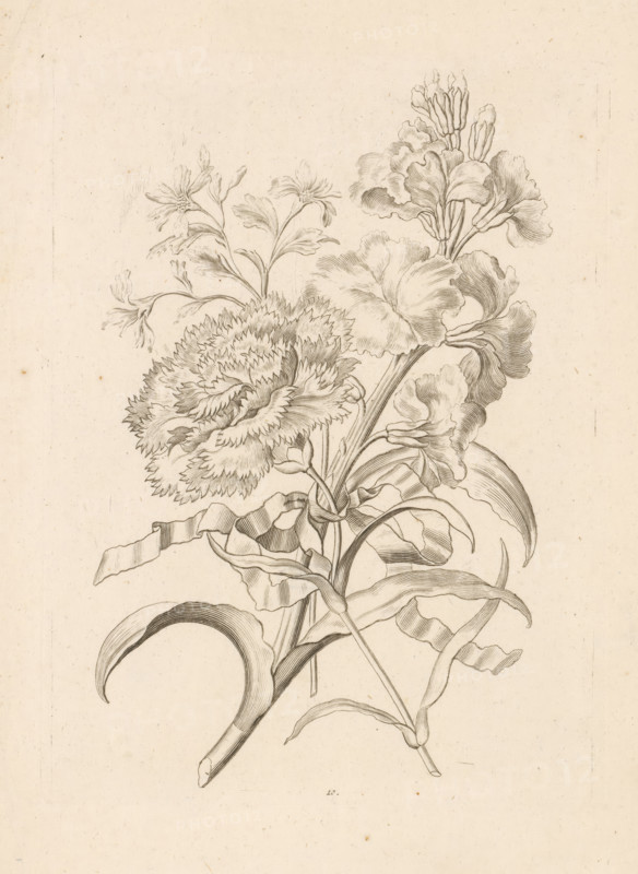 Bunch with lilies, rose and other flowers, print, Series number, 10, Numbered bottom center: 10., Netherlands (possibly), 1700 - 1800, printmaker, paper, etching, engraving, height 235 mm x width 174 mm, flowers: rose, cut flowers, nosegay, bunch of flowers, flowers: lily, A detailed pencil drawing of a floral arrangement on a light textured background shows large ruffled blossoms with layered petals, slender stems, narrow elongated leaves, and smaller delicate flowers with thin petals; the composition includes curved ribbonlike elements entwined with the stems and finely shaded lines to indicate petal and leaf texture.