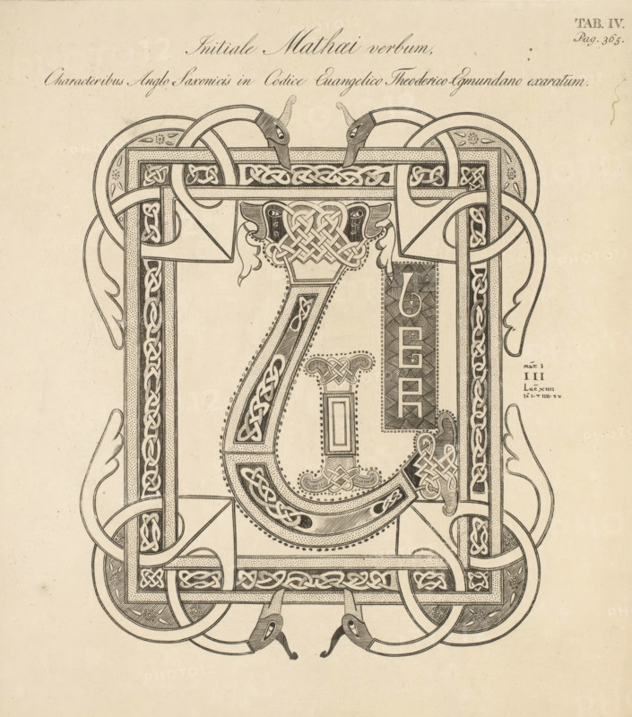 Initiale Mathaei verbum, characteribus Anglo-Saxonicis in codice evangelico Theoderico-Egmundano exaratum, Initial from the Gospel according to Matthew in a manuscript in the Abbey of Egmond, print, printmaker: Christian Anthony Lotter, publisher: Johannes Allart, Amsterdam, 1812, paper, etching, height 242 mm x width 212 mm, An ornate black ink decorative design on aged beige paper fills the image, featuring complex interlacing bands, knotwork patterns, and framed rectangular borders with rounded corners; stylized animal head motifs appear at the top and bottom with elongated necks and pointed beaks, and ribbon-like loops weave in and out around the frame; dotted shading and fine hatching add texture to curved and straight elements, and symmetrical ornamental flourishes and leaflike shapes extend from the sides, creating a mirrored, highly detailed composition.