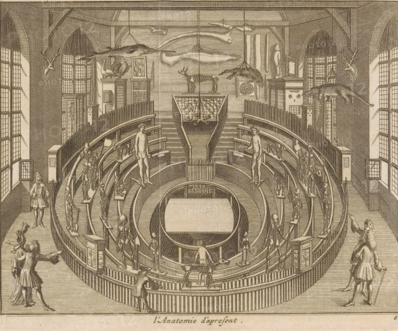 L'Anatomie d'apresent, Het Theatrum Anatomicum te Leiden seen from the inside, print, book illustration, Het Theatrum Anatomicum (anatomical theater) te Leiden seen from the inside, as it looked at the time of the publication of this print (1712). Various people are present in the room, and skeletons of humans and animals are displayed. Stuffed animals hang from the ceiling. Numbered bottom right: 8., publisher: Pieter van der Aa (I) (possibly), Leiden, 1712, printmaker, paper, etching, height 138 mm x width 167 mm, Print also used in: Les delices de Leide, une des célébres villes de l'Europe, here contiennent une description exact de son antiquité, des diverse aggrandissemens, de son académie, des manufactures, des curiosités, Leiden: Pieter van der Aa, 1712., dissecting-room, 'theatrum anatomicum', university, Theatrum Anatomicum, A large vaulted interior with high arched windows and patterned walls contains a circular tiered wooden structure with concentric benches and railings surr...