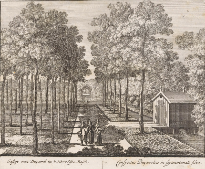 View of Duynrel in the northern ash forest, Conspectus Duynreliae in septentrionali silva, View of the ash forest of Duinrell country estate, Views of Duinrell country estate, print, Series number, 15, 16, with three walkers on the path. Numbered lower right: 15. Print from a series of sixteen prints of Duinrell., printmaker, publisher, grantor of privilege, Amsterdam, paper, etching, engraving, height 172 mm x width 202 mm, forest, wood, conversation, dialogue, conversation piece, Wassenaar, Huize Duinrell, A detailed black and white engraving shows a straight avenue lined by tall, slender trees with dense, textured foliage forming a canopy, flanking a paved central path that recedes into the distance toward a small structure at the far end. Four figures in period dress stand on the pathway in the foreground, two facing away and two turned slightly toward each other, their garments rendered with folds and shading. To the right of the avenue a simple wooden building with a pitched roof...
