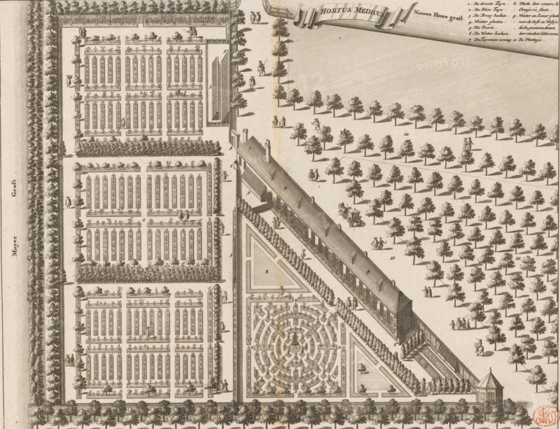 Hortus Medicus, Map of the Hortus Medicus (Botanical Garden) in Amsterdam, print, book illustration, Map of the Hortus Medicus, or the Botanic Garden, in Amsterdam. In bird's-eye perspective. At the top center a banner with the title. Top right the legend 1-10., 1693 - 1726, printmaker, paper, etching, engraving, height 271 mm x width 351 mm, Print also used in: Commelin, Caspar. Description of Amsterdam, its first origin from the House (…). 2 volumes. Amsterdam: Abraham Wolfgang, Gillis Janssonius van Waesberge, Johannes Janssonius van Waesberge II, widow Dirk Boom I, Hendrick Boom and Rembertus Goethals, 1693. And in: Commelin, being an accurate treatise on its first origin from (…). 2 volumes. Amsterdam: widow Aart Dircksz Oossaan, 1694. And in: Commelin, being an accurate treatise on its first origin from (…). 2 volumes. 2nd edition. Amsterdam: Andries van Damme, Johannes Ratelband, widow A. van Aaltwyk and Hermanus Uytwerf, 1726., botanic garden, 'hortus botanicus', plan, map of g...