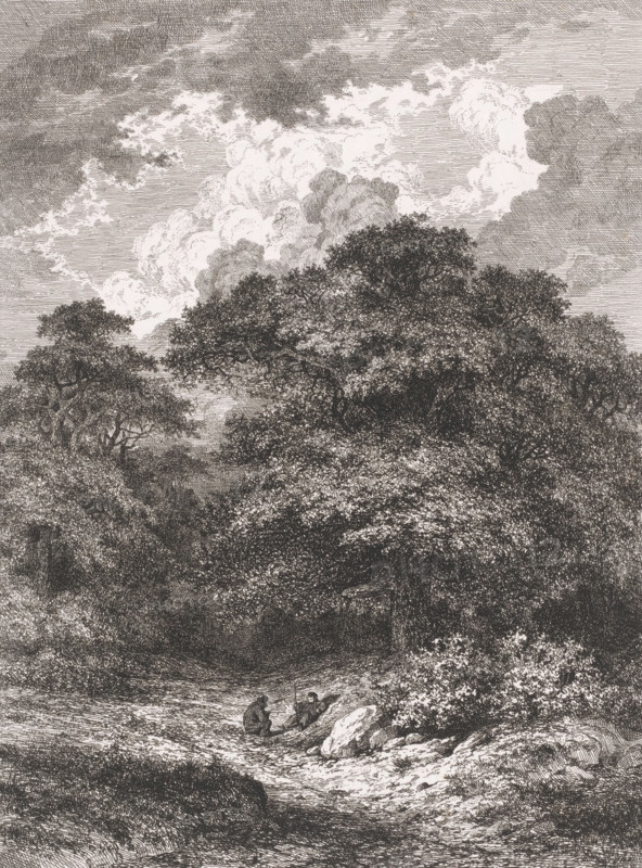 Landscape with two resting figures in front of a forest, print, printmaker: César de Cock, 1850, paper, etching, height 316 mm x width 236 mm, forest, wood, resting, A detailed monochrome drawing of a wooded landscape with dense tree canopies occupying the upper and middle areas, textured foliage and branches rendered with fine crosshatching, a sky filled with layered, billowing clouds above the treetops, a shaded clearing beneath the trees with a small sunlit path or streambed winding forward, two seated figures in the foreground near rocks and low vegetation, one figure leaning forward and the other appearing relaxed, scattered rocks and bushes along the path, and varied shading that creates depth between the foreground, middle ground, and distant trees.