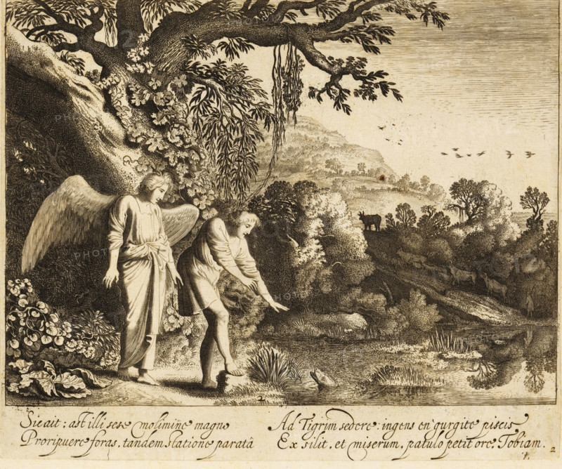 Tobias by the fish in the river Tigris, Story of Tobias, print, Series number, 2, 4, Tobias wants to wash his feet in the river Tigris, whereupon the angel Raphael instructs him to catch the fish that appears. Second print from a series of four about the biblical story of Tobias., printmaker: Jan van de Velde (II), Northern Netherlands, after design by Moyses van Wtenbrouck, 1603 - 1641, paper, etching, engraving, etching and engraving, height 171 mm x width 206 mm, a large fish appears while Tobias is washing his feet, he is frightened, Tobias washes his feet in the river Tigris, A detailed engraved scene shows a winged figure standing beside a barefoot young man who is leaning forward toward a river; the winged figure wears a long robe and has a calm expression while the young man reaches toward the water where a fish breaks the surface; surrounding them are dense plants and large leaves at their feet and a rocky bank behind them with vines and flowering foliage; an overhanging tree ...