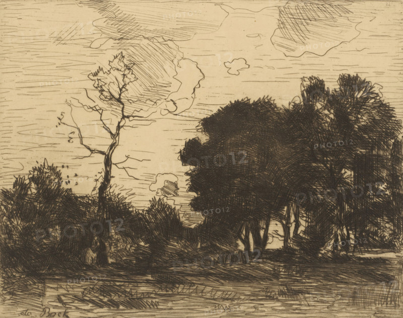 Landscape at Night, print, Landscape in silhouette, with a group of trees on the right and a figure among bushes on the left., signature: 'de Bock', printmaker: Théophile de Bock (signed by artist), c. 1861 - in or before 1904, ink, materials by function, paper, printing ink, etching, drypoint, etching and drypoint, height 159 mm x width 196 mm, height 179 mm x width 217 mm, A sepia-toned sketch shows a landscape with a sky filled with stylized clouds and horizontal hatch marks, a thin, twisting tree with sparse angular branches rising on the left, and a dense cluster of darker, heavily cross-hatched trees and foliage occupying the right and central foreground; the ground in front is rendered with horizontal and diagonal lines suggesting grass and shadows, and the overall image is composed of fine ink strokes and varied hatching.