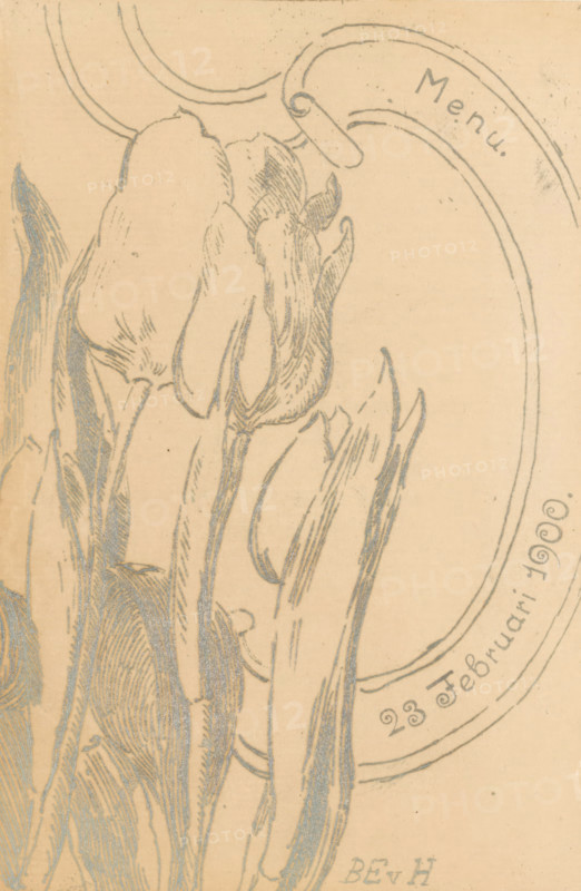 Menu with tulips, print, menu, On the left four tulips. On the right a ribbon with the date February 23, 1900., printmaker: Barbara Elisabeth van Houten, in or before 1900-02, paper, etching, etching in silver-grey, height 180 mm x width 118 mm, width 236 mm, flowers: tulip, A sepia-toned drawing showing a cluster of elongated floral forms with curved petals and long, narrow leaves rendered in fine sketch lines, occupying the left and central areas of the image; a large curved oval frame appears on the right with a small scroll-like element near its top edge, and delicate circular arc lines extend outward from the frame; the drawing has a textured paper background with scattered small specks and subtle shading throughout.