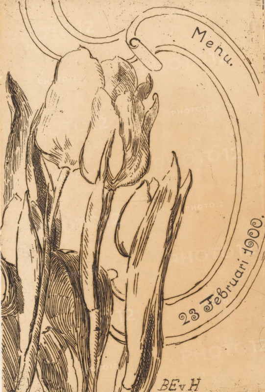 Menu with tulips, print, menu, Four tulips on the left. A ribbon with the date February 23, 1900 on the right., printmaker: Barbara Elisabeth van Houten, in or before 1900-02, paper, etching, height 179 mm x width 118 mm, width 236 mm, flowers: tulip, A close-up line drawing of elongated, curved flower petals and leaves rendered in dark ink on a beige background, with delicate crosshatching and fine contour lines defining the slender stems and textured surfaces; an oval shape with a clipped tab appears near the top edge, and a curved border runs along the right side of the image.