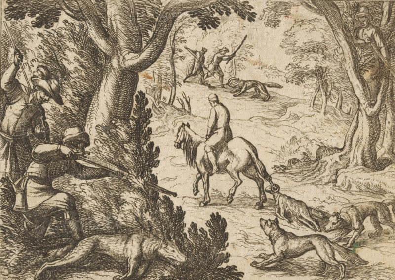 Wolf hunt with a dead ram as bait, Hunting scenes (part 2), Primo libro di caccie varie, print, A man on horseback drags a dead ram through the forest. The dead ram attracts wolves. From behind trees and bushes, hunters aim their rifles at the wolves. Others stab the wolves with spears., printmaker: Antonio Tempesta, Italy, 1598, paper, etching, height 99 mm x width 138 mm, This print is part of a series of 45 hunting scenes (title print and dedication)., hunter, hunters hunting (NB: In 1988-1990 this notation denoted the concept of 43C11421 'hunters resting during the hunt'), hunt, mammals, A monochrome etching shows a wooded clearing with large trees framing the scene and leafy undergrowth. In the foreground a rider faces away atop a horse moving along a winding path. Nearby a group of hounds run and stand alert, some with mouths open. To the left hunters crouch behind vegetation, one aiming a long gun and another holding a spearlike weapon, wearing wide-brimmed hats and period cloth...