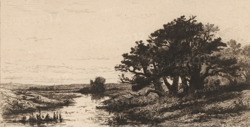 Landscape with oak trees near Wolfheze, Vieux chênes à Wolfhezen (original title), Sketches of Holland (original series title), print, number: 'N. 6', printmaker: Carel Nicolaas Storm van 's-Gravesande, c. 1880, Carel Nicolaas Storm van 's-Gravesande, paper, etching, drypoint, intaglio printmaking technique, height 169 mm x width 284 mm, landscapes in the temperate zone, trees: oak, Wolfheze, A sepia-toned landscape etching showing a calm river or stream winding through low grassy banks toward the foreground, with reflections and ripples on the water surface and clumps of reeds near the near edge; to the right, a dense stand of large, leafy trees with thick trunks and tangled branches casts textured shadows and occupies much of the middle ground, while the left side opens to distant low hills and a sparse horizon under a pale, lightly marked sky.
