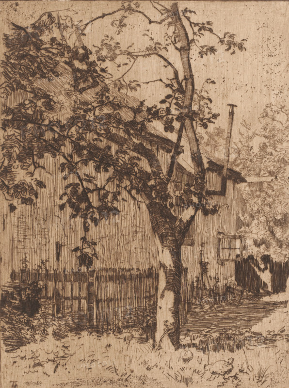 Atelier, Ewijkshoeve (original title), House behind a fruit tree, print, printmaker: Willem Bastiaan Tholen (signed by artist), 1870 - 1914, paper, zinc etching, drypoint, intaglio printmaking technique, height 243 mm x width 182 mm, rural housing, eg country-house, villa, cottage, Den Dolder, A monochrome etched scene shows a weathered wooden building partially obscured by a tall tree with branches and abundant leaves; the tree trunk rises from the foreground and leans slightly, with textured bark and foliage extending across the composition. In front of the building a vertical slatted fence runs along the lower part of the image, and a narrow doorway or window opening is visible on the building’s side. Rooflines and a slender vertical post or pole project upward behind the tree, and dense shrubbery and foliage cluster near the right edge. The ground in the foreground contains grass, scattered leaves, and rough textures, and varied cross-hatched lines and stippling create tonal shifts...