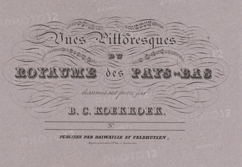 Cover for: Vues Pittoresques du Royaume des Pays-Bas, wrapper, print, Cover with nine prints., printmaker: Barend Cornelis Koekkoek, Amsterdam, printer (person): Daiwaille en Veldhuijzen, 1831, printer (person), paper, lithography, lithography on blue-grey paper, height 325 mm x width 495 mm x height 650 mm x width 495 mm, A textured paper background with ornate dark ink calligraphy and decorative flourishes arranged across the upper portion, including large stylized ornamental words in bold serif and blackletter styles set among swirling curved lines and leaflike motifs, a centered line of delicate cursive script beneath the flourishes, a horizontal rule and a thin framed space below, and additional smaller printed text and lines near the lower part of the visible area.