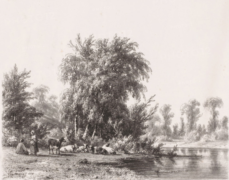 Resting herd by the water, print, On the left by the herd, a man and a woman. The woman is carrying a bundle of wood., printmaker: Jacob Jan van der Maaten, printer (person): Royal Dutch Lithographic Printing House of CW Mieling, The Hague, 1852, printer (person), paper, lithography, lithografie, height 365 mm x width 542 mm, bovine cattle, woodgathering, woodgatherer, river (landscape with figures, staffage), herd, flock, A monochrome landscape showing a riverside scene with tall leafy trees occupying the center and left, their branches and foliage rendered in detailed shading, a calm stretch of water on the right reflecting light, grassy riverbank in the foreground, a group of grazing and reclining cows near the trees, and two women near the animals with one standing and the other seated, all depicted with fine pencil or charcoal strokes.