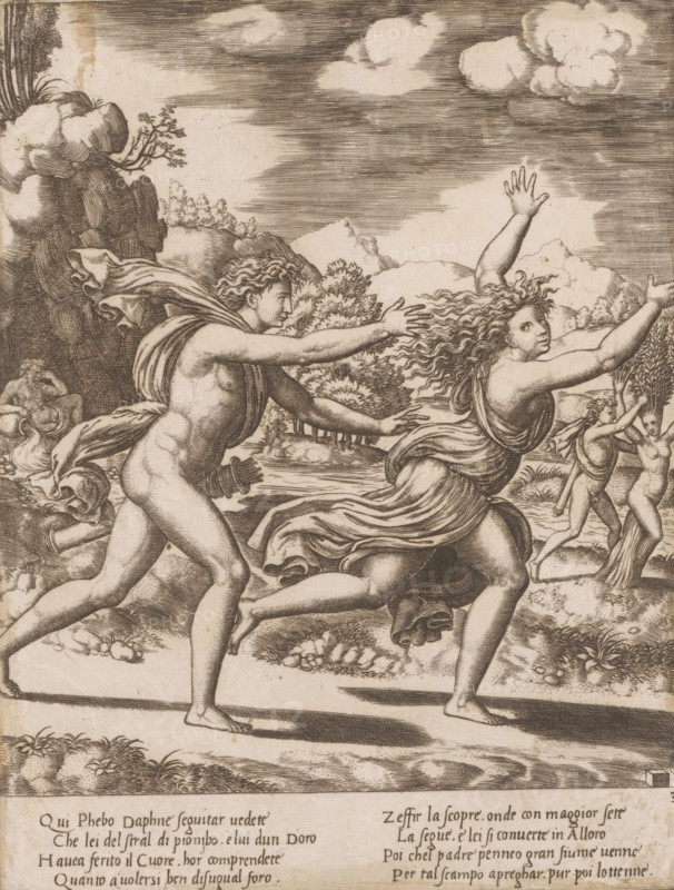Apollo Pursues Daphne, Story of Apollo and Daphne, print, Series number, 3, 4, Apollo pursues the fleeing Daphne. Apollo was struck by Cupid's golden arrow, which ignites love, and Daphne by Cupid's lead arrow, which drives love away. In the background on the left, the river god Peneus, Daphne's father. On the right, Apollo and Daphne during her metamorphosis into a laurel tree. Italian text in two columns in the bottom margin. Numbered bottom right: 3., printmaker: Master of the Dice, Italy, after design by Baldassare Peruzzi, c. 1530 - c. 1560, Master of the Dice, Baldassare Peruzzi, printmaker, after design by, paper, engraving, intaglio printmaking technique, engraving with plate tone, height 241 mm x width 181 mm, This print is part of a series of four prints depicting the story of Apollo and Daphne., Daphne changed into a laurel-tree: while fleeing from Apollo, Daphne is changed into a laurel-tree by her father Peneus (Ovid, Metamorphoses I 548), Apollo pursuing the nymph Daphne ...