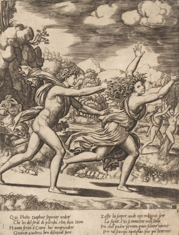 Apollo Pursues Daphne, Story of Apollo and Daphne, print, Series number, 3, 4, Apollo pursues the fleeing Daphne. Apollo was struck by Cupid's golden arrow, which ignites love, and Daphne by Cupid's lead arrow, which drives love away. In the background on the left, the river god Peneus, Daphne's father. On the right, Apollo and Daphne during her metamorphosis into a laurel tree. Italian text in two columns in the bottom margin. Numbered bottom right: 3., printmaker: Master of the Dice, Italy, after design by Baldassare Peruzzi, c. 1530 - c. 1560, Master of the Dice, Baldassare Peruzzi, printmaker, after design by, paper, engraving, intaglio printmaking technique, engraving with plate tone, height 237 mm x width 181 ppi, This print is part of a series of four prints depicting the story of Apollo and Daphne., Daphne changed into a laurel-tree: while fleeing from Apollo, Daphne is changed into a laurel-tree by her father Peneus (Ovid, Metamorphoses I 548), Apollo pursuing the nymph Daphne...