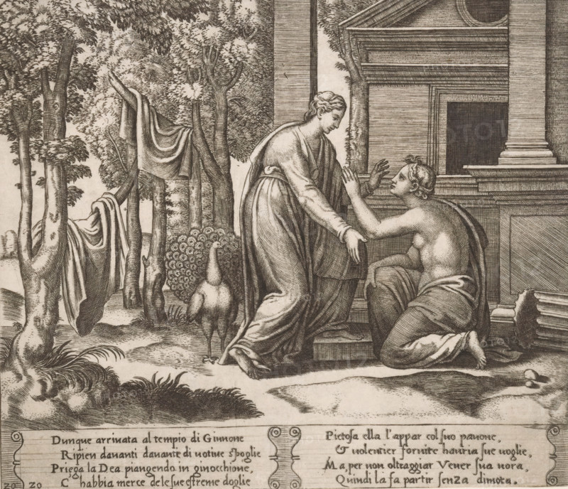 Juno refuses help to Psyche, Story of Amor and Psyche, print, Series number, 20, 32, On the right, the kneeling Psyche asking the goddess Juno for help. On the left stands Juno with the peacock beside her. Italian text in two cartouches in the lower margin. Numbered twice lower left: 20., printmaker: Master of the Dice, Italy, after design by Michiel Coxie (I), c. 1530 - c. 1560, paper, engraving, intaglio printmaking technique, engraving with plate tone, height 199 mm x width 229 mm, A detailed black and white engraving shows a wooded scene beside a classical building with columns and steps; two robed figures occupy the foreground, one standing and leaning forward with an outstretched hand while the other kneels on the steps with raised hands and a turned-up face, both wearing flowing drapery; a peacock stands near the figures with its tail partially visible; trees with textured bark and draped cloth hang from branches on the left; foliage and low plants cover the ground and a carved ...