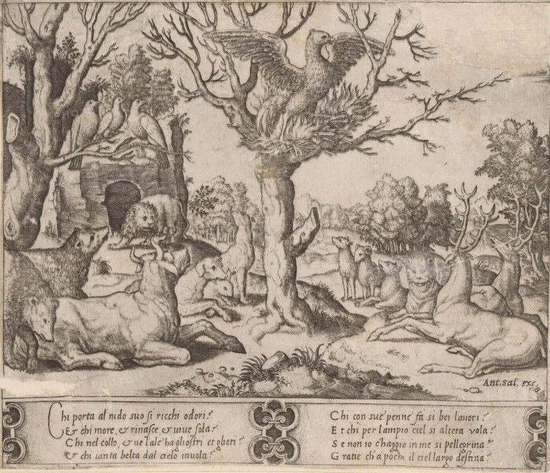 Phoenix, print, A self-immolating phoenix in a tree, surrounded by other animals including bears, dogs, and deer. Italian text in two columns in the bottom margin., printmaker: Master of the Dice, Italy, after design by Raphael (possibly), publisher: Antonio Salamanca, c. 1530 - c. 1560, paper, engraving, intaglio printmaking technique, engraving with plate tone, height 188 mm x width 222 mm, Top right corner torn off and filled with paper, colored with pen in gray and brown., fabulous animals, A detailed monochrome engraving shows a wooded clearing with a large tree at center whose bare branches spread outward and support a nest holding a large bird with outstretched wings; to the left, another tree branch holds a row of perched birds. Around the base of the trees and across the foreground are various animals including reclining and standing deer with visible antlers, several dogs or wolf-like animals in different poses, and a lion positioned near a stone archway or grotto set into a ...