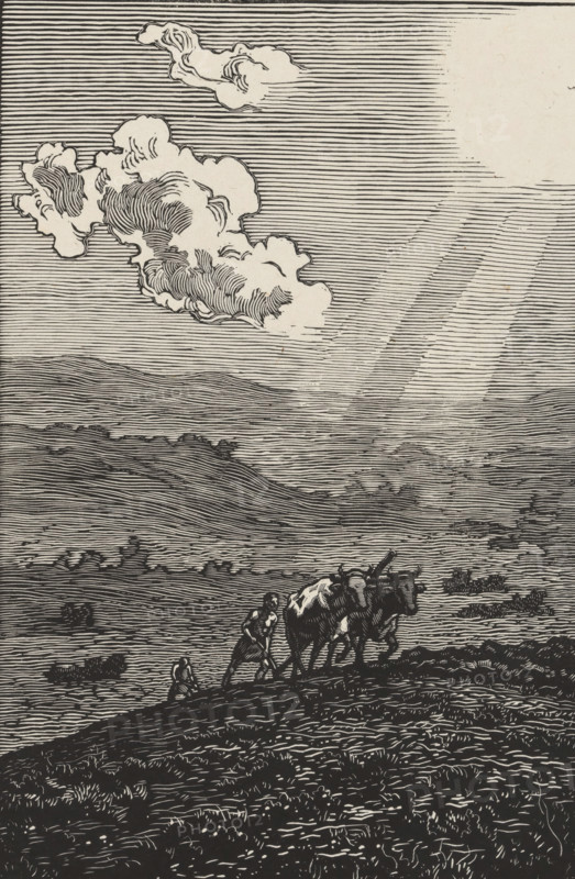 Les Boeufs (original title), print, Plowing cattle., printmaker: Paul-Emile Colin (signed by artist), publisher: Gazette des Beaux-Arts, Paris, 1913, paper, woodcut, height 272mm x width 228mm, A black and white line drawing showing a wide landscape with rolling hills and layered horizontal lines filling the sky and distant ground, a large billowing cloud near the top with detailed curved hatching, a bright circular area at upper right suggested by lighter lines and rays, and in the lower middle foreground two oxen yoked together being guided by a standing figure while another small figure sits nearby, all rendered with dense linear textures and contrasts.