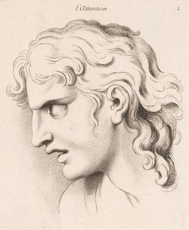 Attention, L'attention, print, book illustration, Series number, 2, 20, printmaker: Jean Audran, Paris, after drawing by Charles Le Brun, publisher: Jean Audran, grantor of privilege: Louis XV of France, 1727, Jean Audran, Charles Le Brun, Louis XV of France, printmaker, after drawing by, publisher, grantor of privilege, paper, etching, intaglio printmaking technique, height 251 mm x width 192 mm, A close-up pen-and-ink drawing of a classical profile showing the left side of a person's head and upper neck, with wavy, flowing hair rendered in curved lines and crosshatching, a prominent forehead, a deep-set eye with visible eyelid and lashes, a long straight nose, full lips, a rounded chin, and a detailed ear, all on a lightly textured, aged paper background.