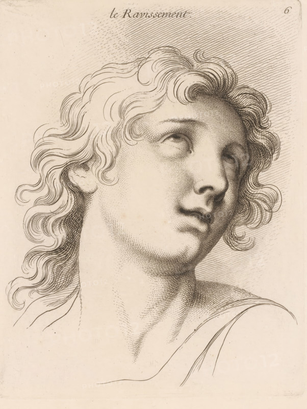 Vervoer, Le ravissement, print, book illustration, Series number, 6, 20, printmaker: Jean Audran, Paris, after drawing by Charles Le Brun, grantor of privilege: Louis XV of France, 1727, paper, etching, intaglio printmaking technique, height 258 mm x width 198 mm, A close-up ink drawing of a classical-style head and upper torso turned slightly upward and to the side, showing a youthful face with softly shaded features, full lips, a straight nose, and eyes looking upward; wavy hair flows around the head in curling strands rendered with fine lines; delicate cross-hatching and stippling create tonal shading on the forehead, cheeks, neck, and collarbone; a draped garment is suggested on one shoulder with simple contour lines; the background is plain with subtle linear shading behind the head.