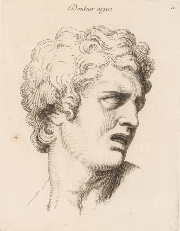 Acute pain, Douleur aigue, print, book illustration, Series number, 10, 20, printmaker: Jean Audran, Paris, after drawing by Charles Le Brun, grantor of privilege: Louis XV of France, 1727, paper, etching, intaglio printmaking technique, height 254 mm x width 197 mm, A close-up line drawing of a classical sculpture head and neck rendered in fine dark lines on a light aged paper background, showing curly hair with detailed wavy locks, a furrowed brow and a partially open mouth, shaded contours around the eye, cheek, jaw and neck created by parallel hatching, and small specks and faint stains on the paper surface.