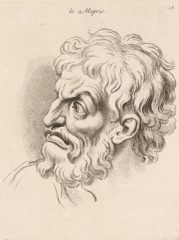 Contempt, Le mépris, print, book illustration, Series number, 15, 20, printmaker: Jean Audran, Paris, after drawing by Charles Le Brun, grantor of privilege: Louis XV of France, 1727, paper, etching, intaglio printmaking technique, height 248 mm x width 192 mm, A detailed ink drawing of an older man's head in profile facing left, showing a pronounced nose, furrowed brow, wide eye, and a downturned mouth; he has wavy hair and a full curly beard rendered with fine crosshatching and flowing lines, and an ear partially visible beneath the hair; the background is lightly textured with crosshatched shading behind the head and the overall page has an aged, slightly speckled paper appearance.