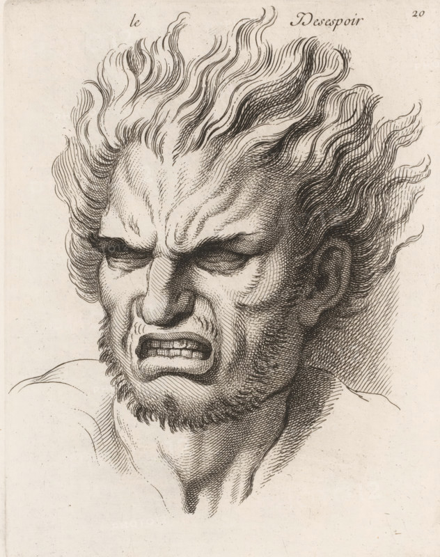Le désespoir, Despair, print, book illustration, Series number, 20, printmaker: Jean Audran, Paris, after drawing by Charles Le Brun, grantor of privilege: Louis XV of France, 1727, paper, etching, intaglio printmaking technique, height 249 mm x width 193 mm, A detailed ink drawing of a man's head and upper neck with wild, wavy hair standing on end, deeply furrowed brow, narrowed eyes, clenched teeth visible through curled lips, a short beard and stubbled cheek, and strong crosshatched shading emphasizing contours and shadows.