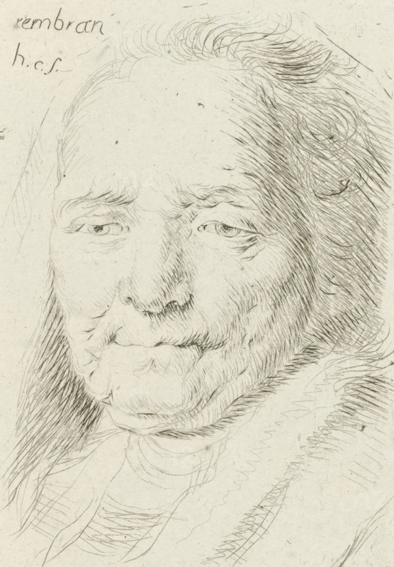 Portrait bust of Rembrandt's mother, print, printmaker: Honoré Coussin, Paris, after design by Rembrandt van Rijn, 1708 - 1779, Honoré Coussin, Rembrandt van Rijn, printmaker, after design by, paper, etching, height 116 mm x width 81 mm, Person, Neeltje Willemsdr. Zuytbrouck, historical persons, adult woman, A close-up pen-and-ink portrait of an older man showing his head and upper chest, with fine, sketchy lines forming his receding hairline, tousled hair, and a short beard and mustache; his downcast eyes have detailed eyelids and creases, and his brow and cheeks show soft, lined textures; the nose and mouth are rendered with delicate crosshatching and contour strokes, and the collar and shoulder area have loose, flowing lines suggesting clothing and fabric.
