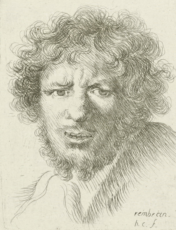 Bust of a young man with a beard, print, printmaker: Honoré Coussin, France, after design by Rembrandt van Rijn, 1708 - 1779, paper, etching, height 138 mm x width 108 mm, adult man, A close-up pen-and-ink portrait of a man's head and shoulders showing a dense mass of curly hair and a full beard rendered with fine, overlapping lines, with intense, slightly furrowed eyebrows, deep-set eyes, a prominent nose, and a partially open mouth revealing teeth, the face shaded with closely spaced hatching and crosshatching while the hair and beard are drawn with swirling, looping strokes against a pale, textured background.