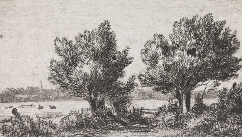 Trees in a meadow landscape, print, printmaker: Jacob Jan van der Maaten, The Hague, 1851, paper, chine collé, etching, etching on chine collé, proof print, height 52 mm x width 86 mm, meadow, pasture, trees, A monochrome sketch showing a landscape with two large leafy trees in the foreground, their textured branches and foliage rendered with dense crosshatched lines, a low fence and bushes at the base of the trees, a stretch of water or open ground behind them with small rounded shapes near the surface, a distant shoreline with low vegetation and a slender vertical structure rising from it, and a lightly textured sky above.