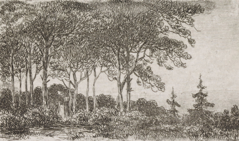 Woman by a row of trees, print, A wooded landscape with a woman with a basket on her back in the foreground on the left., printmaker: Jacob Jan van der Maaten, Netherlands, 1830 - 1879, paper, chine collé, etching, etching on chine collé, height 51 mm x width 86 mm, trees, forest, wood (landscape with figures, staffage), A detailed monochrome drawing of a wooded scene showing tall slender trees with dense leafy canopies and textured trunks, clustered shrubs and undergrowth at the base, a small body of water in the foreground with reflected lines, and two smaller coniferous trees on the right, all rendered with fine crosshatched and linear strokes across a mottled background.