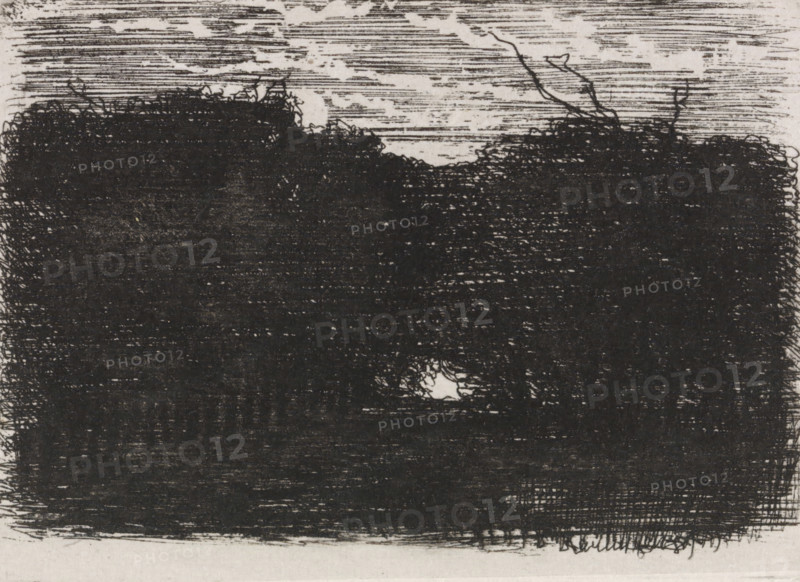 Forest at night, print, signature, printmaker: Joseph Hartogensis (signed by artist), Netherlands, 1830 - 1879, paper, chine collé, etching, etching on chine collé, height 55 mm x width 76 mm, night, A dense, dark mass of closely crosshatched strokes fills the lower portion of the image, with rough, irregular edges and a textured surface; above it, lighter horizontal lines and scattered small white patches form a layered sky area, and thin, spindly branchlike lines extend upward from the dark mass into the lighter region.