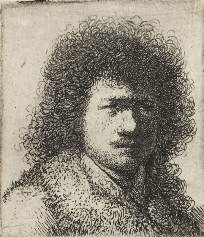 Self-portrait with bushy hair: bust, print, Self-portrait of Rembrandt with a large bush of curly hair., printmaker: Rembrandt van Rijn, Netherlands, printmaker: attributed to Jan Gillisz. van Vliet, c. 1631, Attributed to, paper, etching, height 50 mm x width 43 mm, The plate was reworked by another hand, possibly Jan Gillisz. van Vliet., Person, portrait, self-portrait of artist, A close-up monochrome sketch of a person's head and shoulders rendered with dense, looping lines forming curly hair that frames the face, a partially visible forehead, one eye suggested by short, dark strokes, a nose and a faintly smiling mouth, stubble on the chin and jaw, and a textured garment around the neck and shoulders made of short, varied hatch marks, all on a lightly mottled paper background.