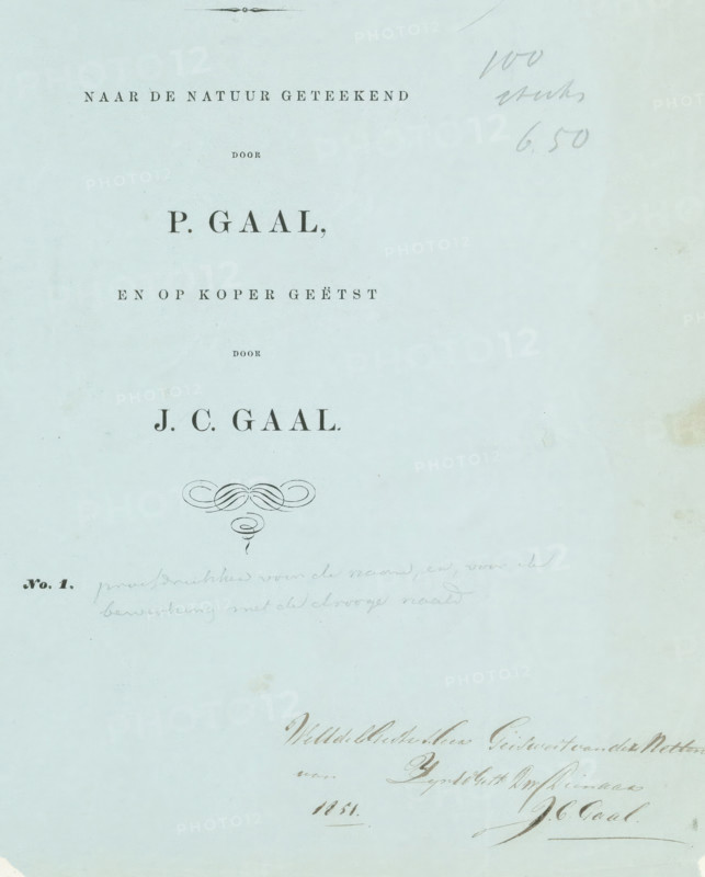 Cover for: Collection of studies. Drawn from nature by P. Gaal, and etched on copper by JC Gaal, wrapper, dedication: 'Noble Mr. Geisweit van der Netten of ... your servant JC Gaal 1851', dedicated by: Jacobus Cornelis Gaal, Netherlands, c. 1850 - c. 1865, printer (person), paper, letterpress printing, letterpress on blue paper, height 320 mm x width 493 mm, A pale blue sheet with printed and handwritten dark marks arranged vertically, featuring centered dark printed lines and a decorative flourish toward the middle, faint pencil scribbles near the top right, a darker handwritten signature and cursive writing near the lower right, and small printed decoration and faint pencil notes near the lower left, all on a slightly textured background with a few small spots and areas of discoloration.