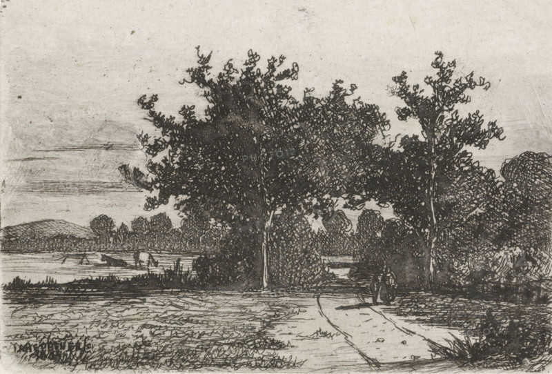 Country road, print, printmaker: Jan Heppener, The Hague, c. 1841 - 1898, paper, chine collé, etching, etching on chine collé, height 59 mm x width 87 mm, landscapes (landscape with figures, staffage), A monochrome etched landscape depicting a foreground path leading toward a pair of large, leafy trees at the center, flanked by additional trees and dense shrubbery, with textured grassy fields in front and layered horizontal marks suggesting distant ground and sky behind; a body of water sits beyond the trees with small indistinct shapes on its surface, low rolling hills are visible on the left horizon, and varied linework creates shadowed foliage, tree trunks, and foreground vegetation across the scene.