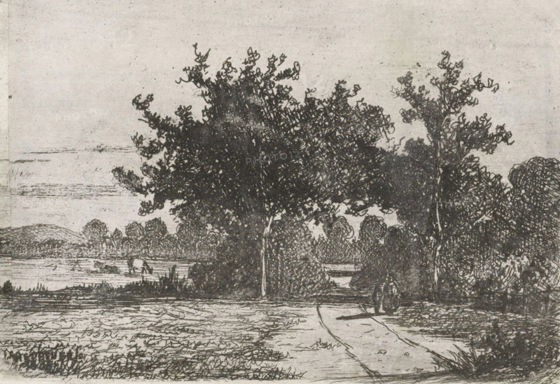 Country road, print, printmaker: Jan Heppener, The Hague, c. 1841 - 1898, paper, chine collé, etching, etching on chine collé, height 59 mm x width 87 mm, landscapes (landscape with figures, staffage), A monochrome sketch of a landscape showing a pathway leading toward a stand of large trees with dense foliage, flanked by bushes and smaller vegetation, with a body of water visible beyond and a distant shoreline with low hills, the foreground containing textured grass and a strip of shaded ground, and the sky rendered with light horizontal marks.