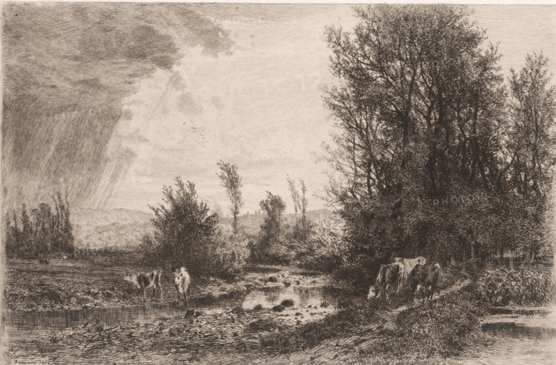 Landscape with cows along a brook, print, printmaker: Alfred Alexandre Delauney, France, 1872, paper, chine collé, etching, drypoint, intaglio printmaking technique, drypoint and plate tone on chine collé, height 219 mm x width 327 mm, landscapes in the temperate zone, cow, brook, A monochrome landscape etching showing a wide sky with textured clouds and a band of heavier shading at one side, a cluster of tall leafy trees occupying one side and smaller bushes and saplings scattered across the midground, a shallow stream or wet channel running toward the foreground with rocks and ripples, several grazing cows near the water and along the banks, a distant low ridge or hills on the horizon, and fine crosshatched lines and detailed strokes throughout the image creating varied tones and textures.
