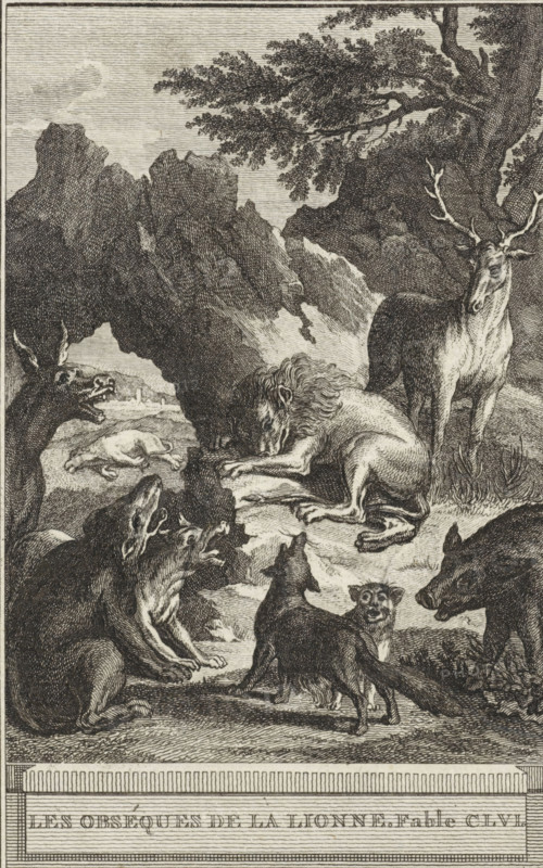 The Obsessed with the Lion. Fable CLVL, Funeral of the Lion's Wife, print, All kinds of animals have gathered at the lion. Illustration of Fable CLVL The Obsessed with the Lion., printmaker: Reinier Vinkeles (I), Amsterdam, 1772, Reinier Vinkeles (I), printmaker, paper, etching, height 215 mm x width 125 mm, Print probably used as an illustration in one or more editions of: La Fontaine, Jean de. Choices of Fies. Amsterdam: J. van Gulik, 1802., beasts of prey, predatory animals: lion, ass, donkey, hoofed animals: boar, predatory animals: fox, hoofed animals: deer, funeral parlor, A detailed engraved scene shows a lion lying with its head lowered and paws extended on a rocky surface near a cave opening, surrounded by multiple canid-like animals baring teeth and howling, a stag standing nearby with antlers and an alert posture, a tree with leafy branches arching overhead, rugged rock formations in the background, and varied ground vegetation and textures.