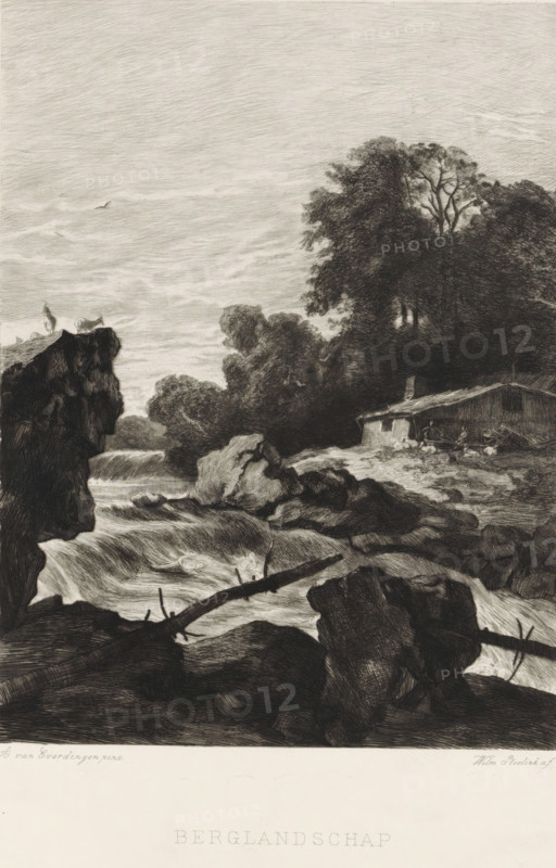 Mountain landscape, Mountain landscape with a river and waterfall, print, book illustration, Landscape with a river and waterfall. Goats on a rocky outcrop on the left. A hut on the other side of the water., printmaker: Willem Steelink (II), after painting by Allaert van Everdingen, printer (person): Roeloffzen & Hübner, publisher: Holkema & Warendorf, Van, Amsterdam, 1888 - 1891, printer (person), paper, chine collé, etching, drypoint, etching and drypoint on chine collé, height 350 mm x width 259 mm, A monochrome landscape depicting a rocky river scene with churning water flowing over and around large boulders, a fallen log crossing the foreground, tall trees and dense foliage rising on the right bank, and a simple wooden cabin nestled among the trees with indistinct figures or objects near it; a high cliff stands on the left with a figure and an animal silhouetted at its edge, and a single bird is visible flying in the textured sky above.