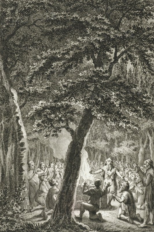 Religious practice among the Batavians, print, history print, Religious practice among the Batavians., printmaker: Reinier Vinkeles (I), Netherlands, after drawing by Engelbertus Matthias Engelberts, 1788 - 1790, paper, etching, height 231 mm x width 154 mm, Illustration from: EM Engelberts, The ancient state and histories of the United Netherlands, Johannes Allart, Amsterdam 1784-1799, vol. III, p. 86. Comes before the letter., Germanic and Scandinavian religions, extinct, 'historical' peoples (with NAME), Roman period in the Netherlands, A detailed black and white engraving shows a large tree with a thick trunk and dense foliage dominating the foreground, its branches and leaves spreading across the upper area. Beneath the tree a group of people gather around a central figure who stands with outstretched arms; several others kneel or sit nearby with upraised hands and expressive gestures. The crowd fills the midground and extends into the background among more trees, where trunks and...
