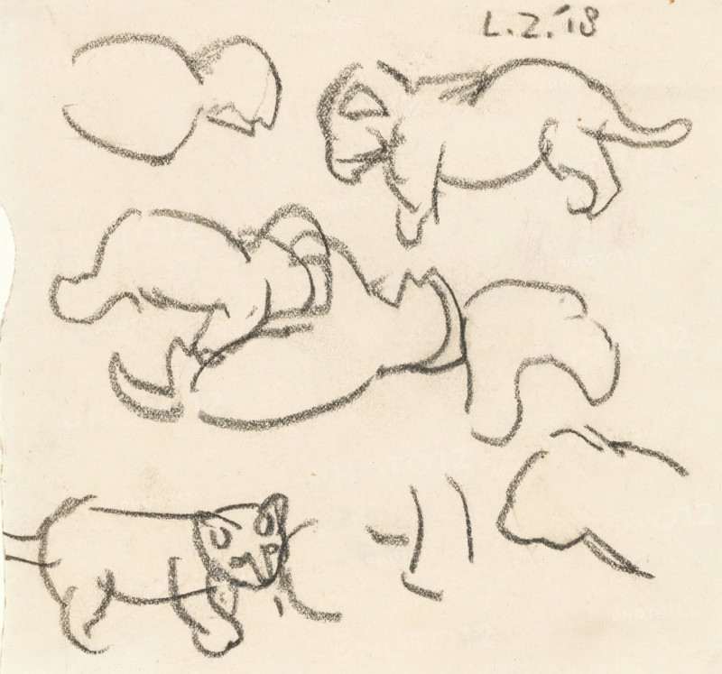 Sketches of a lion cub, drawing, draftsman (artist): Lambertus Zijl, 1918, draftsman (artist), inorganic material, paper, chalk, black chalk, height 139 mm x width 150 mm, beasts of prey, predatory animals: lion, A sheet of textured paper with multiple loose charcoal sketches of animal forms, showing rounded backs, curved tails, floppy ears, and simple facial outlines, rendered with rough dark strokes and varying pressure, with some sketches overlapping and partial figures along the edges.