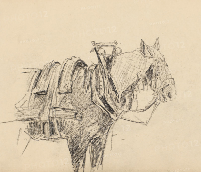Harnessed cart horse, drawing, draftsman (artist): Pieter HJJ Ras, 1903-07-02, draftsman (artist), inorganic material, paper, chalk, black chalk, height 151 mm x width 213 mm, horse, A charcoal sketch on beige paper showing the rear half of a saddled horse with visible tack and straps, a close-up of the horse's head in profile with ears pricked and simple facial shading, and loosely drawn blankets or packs on the horse's back with textured, sketchy strokes.