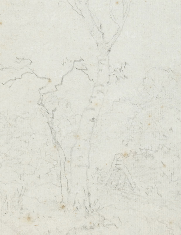 Landscape with widely branched tree, drawing, Album page with landscape with widely branched tree., draftsman (artist): Jean Honoré Fragonard, 1742 - 1806, draftsman (artist), paper, pencil, height 217 mm x width 168mm, trees, Pale paper with faint pencil sketches showing the trunk and branches of a tree with subtle textured bark marks, irregular leafy outlines around the tree, a narrow winding vertical line suggesting a slender stem, light smudges and small brownish spots across the surface, and very faint additional sketch lines hinting at more foliage and an angular triangular shape near the lower center.