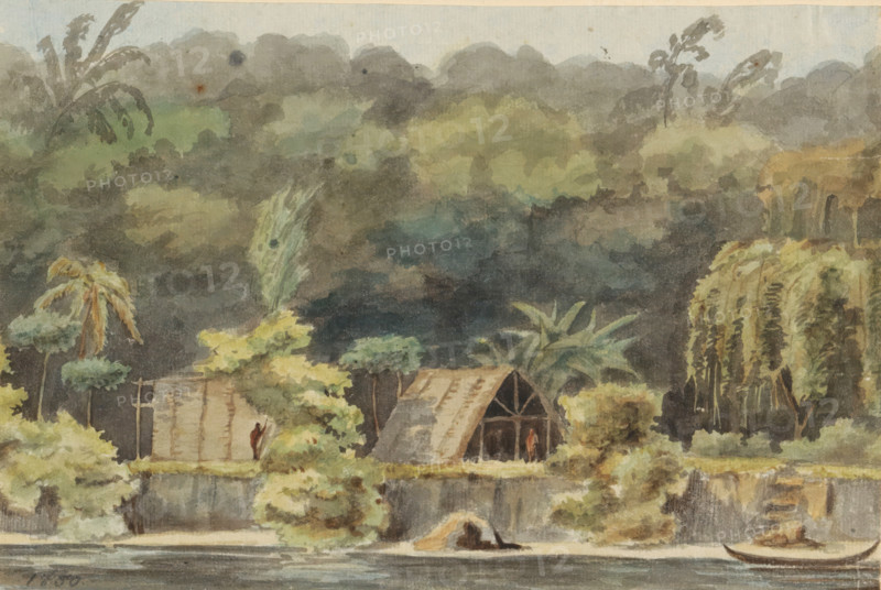Settlement of the indigenous people at Oeman kondre (former title), Oeman-kondre in the Marowijne, Indian camp, Oeman kondre on the Marowijne river, Album with drawings of Suriname, p.1 (50), watercolour, album page, topographical view, View of some houses in the forest seen from the river., date: '1850', draftsman (artist): Jacob Marius Adriaan Martini van Geffen, Suriname, 1850, draftsman (artist), paint (coating), materials by function, paper, watercolor (paint), pencil, ink, brush, washed ink, height 170 mm x width 260 mm x thickness 20 mm, Marowgne, A watercolor scene showing a shoreline with dense foliage and trees rising behind a grassy bank, a thatched structure with a triangular roof and an open front tucked among bushes, a smaller hut-like building nearby, a few slender palm trees and broad-leaved plants throughout, a weeping tree with hanging foliage on the right, dark layered clouds or treetops filling the upper background, a narrow strip of water in the foreground with a s...